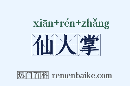 仙人掌是什么意思的图片